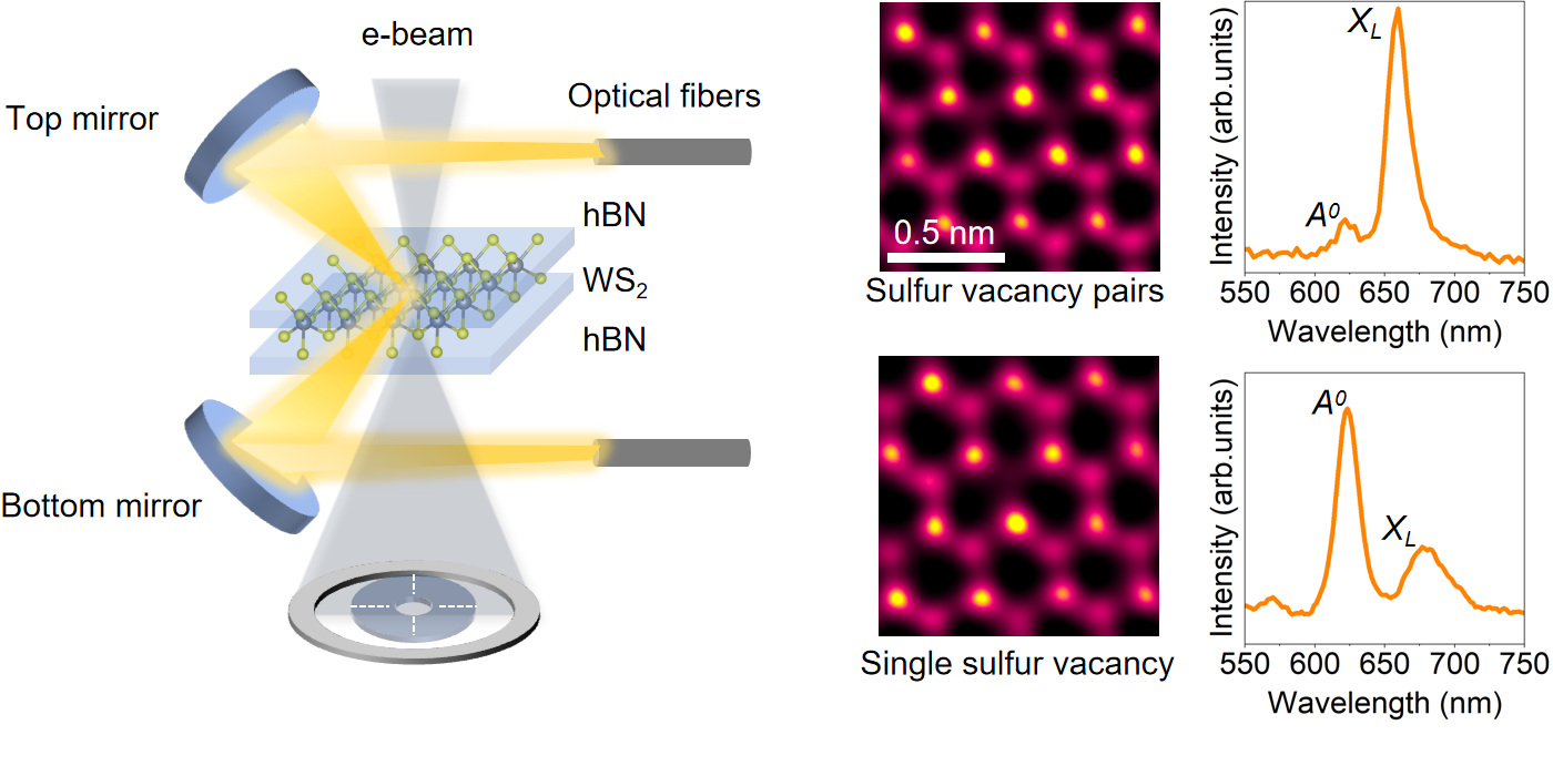 原位电镜发现单层WS<sub>2</sub>的稳定色心原子构型